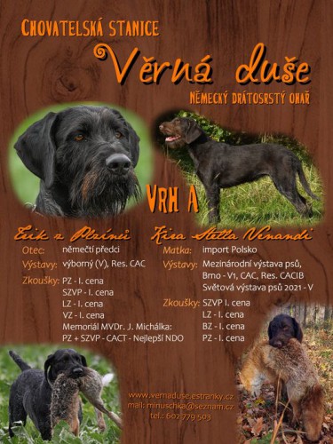 plakat-vrh-a.jpg
